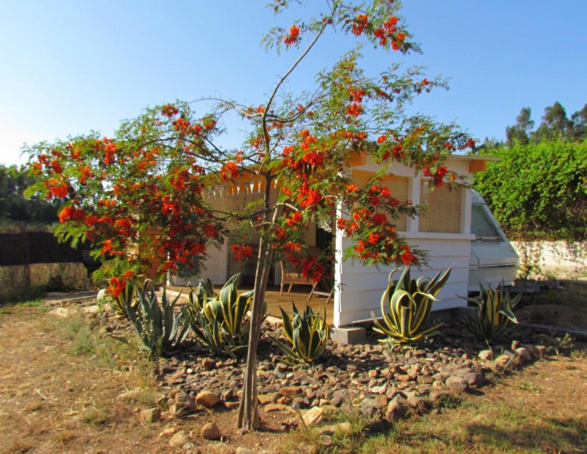 מונצ'יק Nova Alofa Caravan מראה חיצוני תמונה